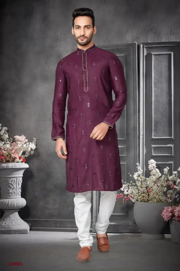 Sequence Embroidery Work Kurta