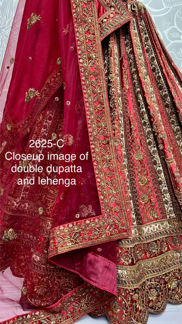 Embroidered Bridal Lehenga Choli (Red Gray)
